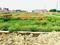 Vinay Khand 2, Gomti Nagar Plot View 2
