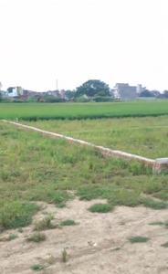 Image of 1000 Sq.ft Residential Plot / Land for sale in Kushmi, Gorakhpur for Rs. 1400000