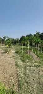 Image of 36000 Sq.ft Residential Plot / Land for sale in Falta, Kolkata for Rs. 17000000
