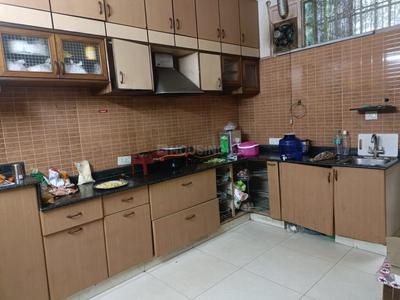 Kitchen Image of Stanza Life  in Sector 142, Noida