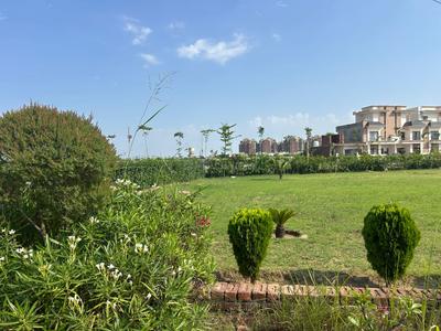 Image of 1352 Sq.ft 3 BHK Builder Floor for sale in Sector 115, Mohali for Rs. 7456000