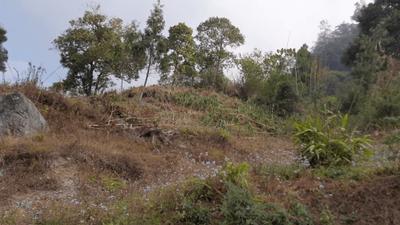 Image of 2178 Sq.ft Residential Plot / Land for sale in Kalimpong Khasmahal, Kalimpong for Rs. 1500000