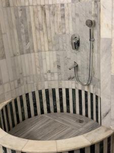 Bathroom Image of 750 Sq.ft 1 BHK Independent House for rent in Panchsheel Park New Delhi for Rs. 65000