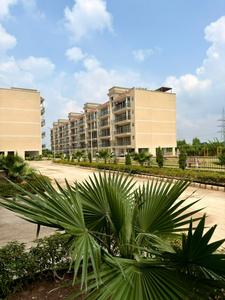 Image of 2200 Sq.ft 3 BHK Builder Floor for sale in Lark Bollywood Green City, Sector 113, Mohali for Rs. 15500000