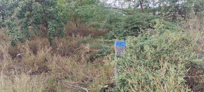Image of 1913 Sq.ft Residential Plot / Land for sale in Chinnavedampatti, Coimbatore for Rs. 7260000