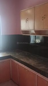 Kitchen Image of 1300 Sq.ft 3 BHK Apartment / Flat for rent in Piska More Ranchi for Rs. 15000