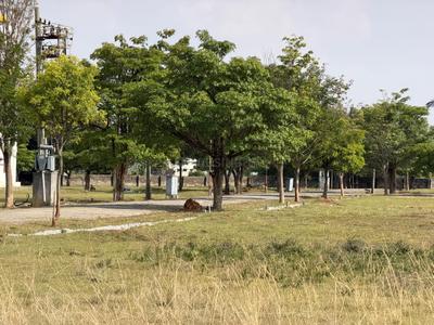 Image of 2400 Sq.ft Residential Plot / Land for sale in Sarjapur, Bengaluru for Rs. 12000000