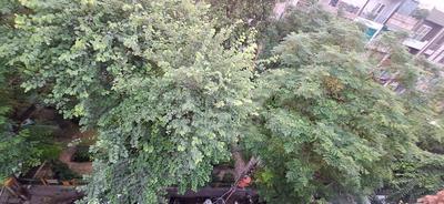 Image of 1000 Sq.ft 2 BHK Builder Floor for rent in Subhash Nagar, New Delhi for Rs. 22000