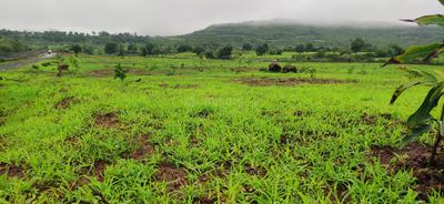 Image of 10764 Sq.ft Residential Plot / Land for sale in Trimbak, Nashik for Rs. 3511000