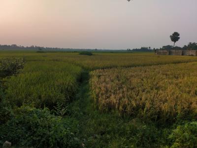 Image of 720 Sq.ft Residential Plot / Land for sale in New Town, Kolkata for Rs. 1235600
