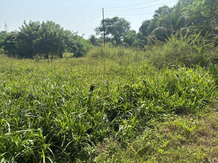 Nagaon, Uran Main Image 1