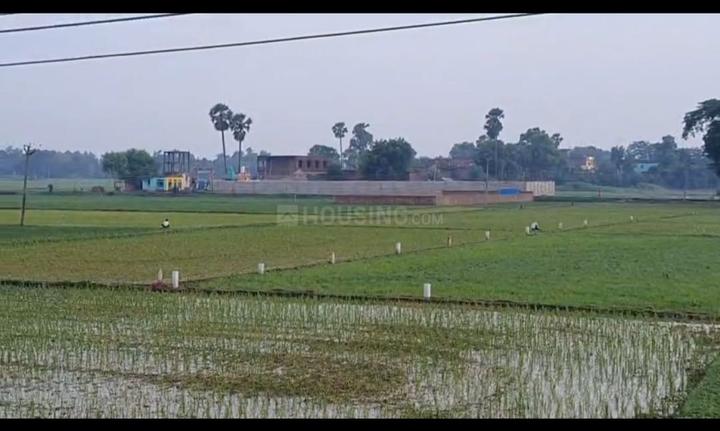 Chirora Main Image 1