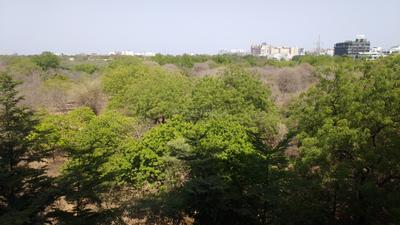 Image of 2682 Sq.ft 3 BHK Apartment / Flat for sale in Sargam Sarita, Sargasan, Gandhinagar for Rs. 14500000