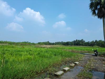 Image of 2880 Sq.ft Residential Plot / Land for sale in Natures Paradise, Joka, Kolkata for Rs. 680000