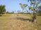 Poonjeri Main Image 1