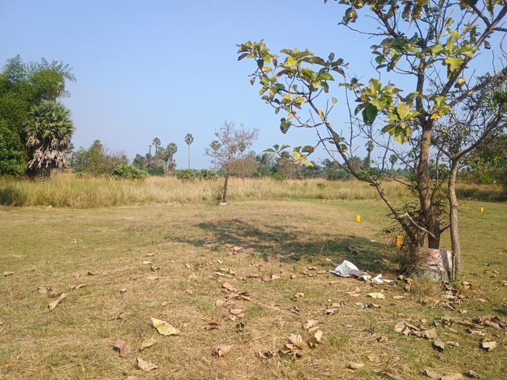 Poonjeri Main Image 1