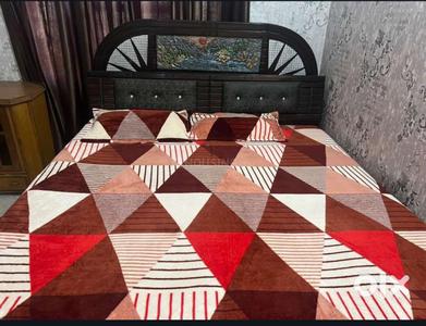 Hall Image of 250 Sq.ft 2 BHK Independent House for rent in Dashmesh Nagar Chandigarh for Rs. 15000