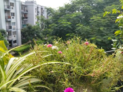 Image of 1000 Sq.ft 2 BHK Apartment / Flat for sale in Rising Homes At DXP 92, Sector 92, Gurgaon for Rs. 10000000