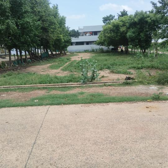 Thimmapuram Main Image 1