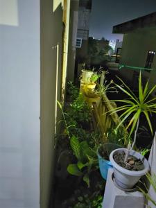 Balcony Image of 1000 Sq.ft 2 BHK Apartment / Flat for sale in Jagrati Vihar Meerut for Rs. 5000000