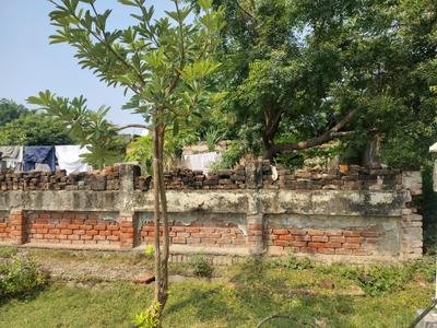 Block C Plot View 1