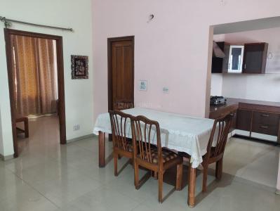 Hall Image of 2600 Sq.ft 3 BHK Builder Floor for rent in Sector 21 Panchkula for Rs. 40000