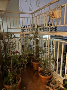Balcony Image of 1585 Sq.ft 3 BHK Apartment / Flat for sale in Sattva Greenage, Hongasandra Bengaluru for Rs. 32000000