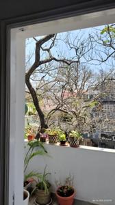 Balcony Image of 2500 Sq.ft 3 BHK Apartment / Flat for rent in Indira Nagar Bengaluru for Rs. 120000
