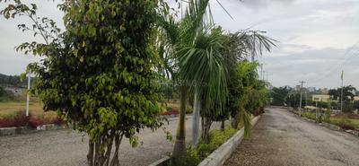 Image of 2100 Sq.ft Residential Plot / Land for sale in Hosur, Tumkur for Rs. 6930000