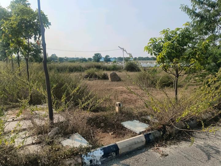 Devender Colony Plot View 1
