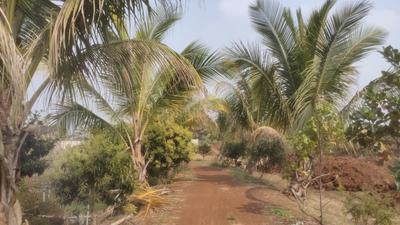Floor Plan Image of 10000 Sq.ft Residential Plot / Land for sale in Bhatagaon Raipur for Rs. 4400000