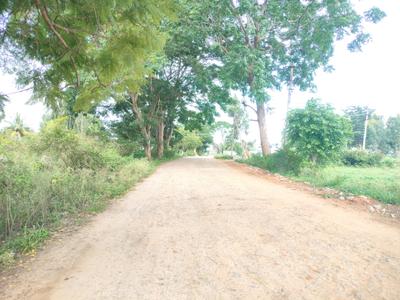 Residential Plot