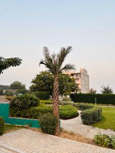 Image of 10890 Sq.ft 4 BHK Farm House for sale in Riyasat Hills, Sector 95B, Gurgaon for Rs. 24200000