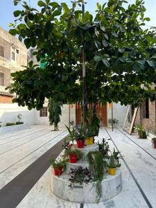 Image of 1250 Sq.ft 3 BHK Apartment / Flat for sale in Jagatpura, Jaipur for Rs. 4200000