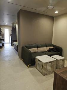 Hall Image of 1250 Sq.ft 3 BHK Apartment / Flat for sale in Tulip White, Sector 69 Gurgaon for Rs. 14500000