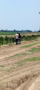 Image of 1000 Sq.ft Residential Plot / Land for sale in Bargadwa, Gorakhpur for Rs. 651000