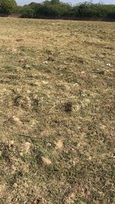 Image of 1250 Sq.ft Residential Plot / Land for sale in Dharti Paradise Phase II, Basni Baghela, Jodhpur for Rs. 3600000