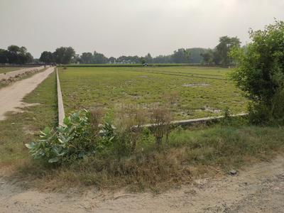 Image of 557 Sq.ft Residential Plot / Land for sale in MU II, Greater Noida for Rs. 41775000
