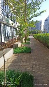 Image of 1205 Sq.ft 2 BHK Apartment / Flat for sale in Vascon Citron, Wagholi, Pune for Rs. 7700000