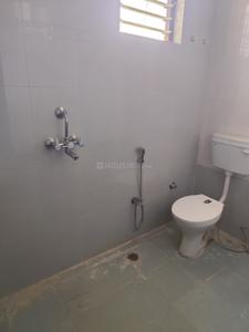 Bathroom Image of 1305 Sq.ft 3 BHK Apartment / Flat for rent in Danapur Patna for Rs. 20000