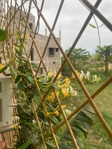 Balcony Image of 1300 Sq.ft 5 BHK Independent House for sale in Jharapada Bhubaneswar for Rs. 16000000