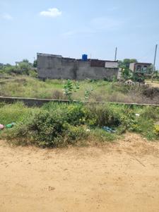 Aashiyana city Chakshu Plot View 3