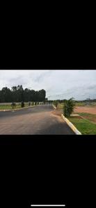 Residential Plot