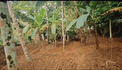 Image of 13056 Sq.ft 4 BHK Independent House for sale in Illathaazha, Kannur for Rs. 11000000