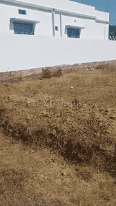 Image of 435 Sq.ft Residential Plot / Land for sale in Getlatu, Ranchi for Rs. 850000
