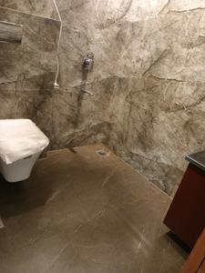 Common Bathroom Image of 1750 Sq.ft 4 BHK Apartment / Flat for sale in DLF Belvedere Park, DLF Phase 3 Gurgaon for Rs. 35000000