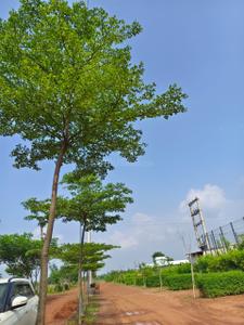 Image of 10000 Sq.ft Residential Plot / Land for sale in Tatibandh, Raipur for Rs. 4500001