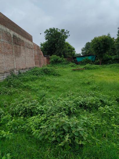 Shree Ram Main Image 1