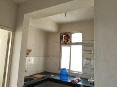 Kitchen Image of 441 Sq.ft 1 BHK Apartment / Flat for sale in Shree Green Court, Sector 90 Gurgaon for Rs. 4500000