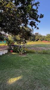 Image of 836 Sq.ft Residential Plot / Land for sale in Palam Vihar, Gurgaon for Rs. 200000000